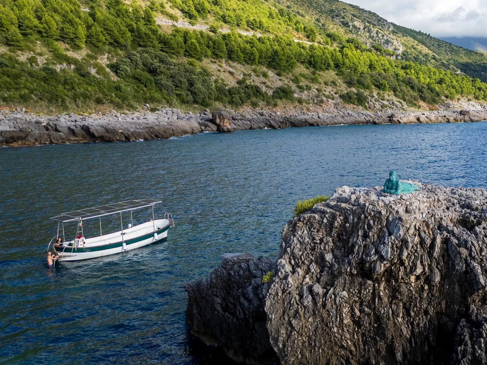 Flach violett-Buiten