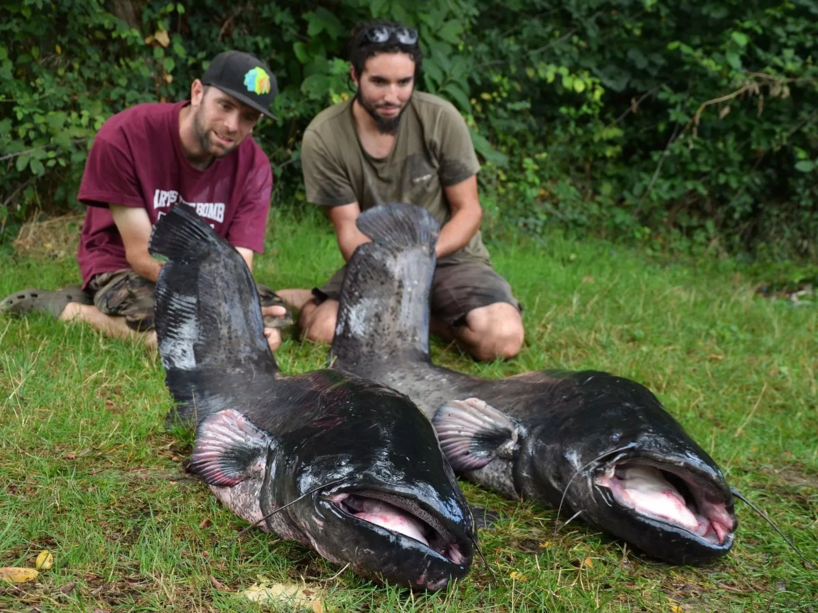 Haus freistehend Sonne Bett 160cm Patio billig-Buiten