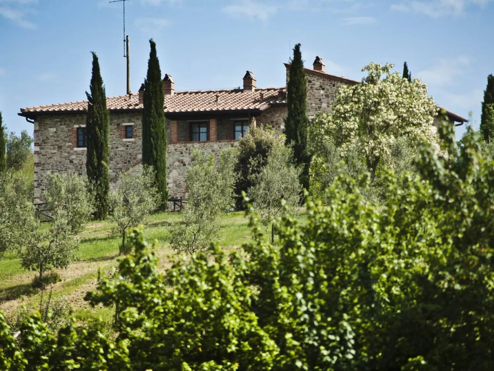 Narciso' Wohnung mit Gemeinschaftspool-Buiten