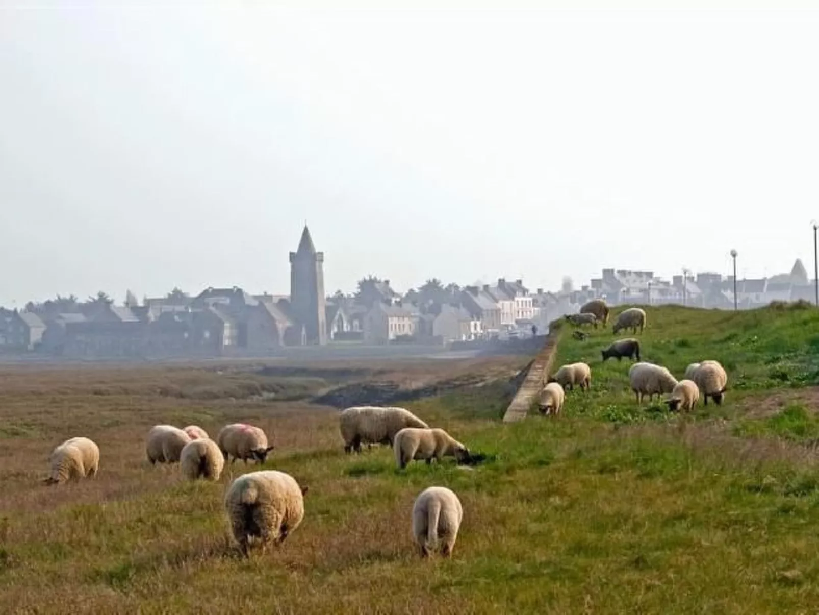 Haus im Erdgeschoss in Strandnähe-Image-tags.info