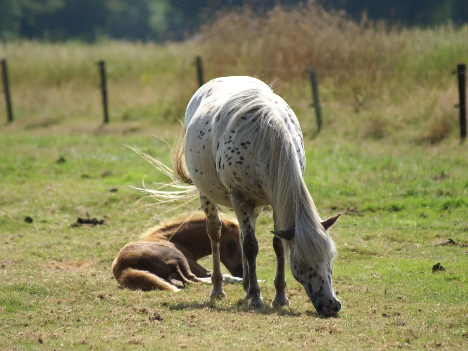 Geschmackvoll eingerichtetes Bauernhaus aus dem 19.-Image-tags.info
