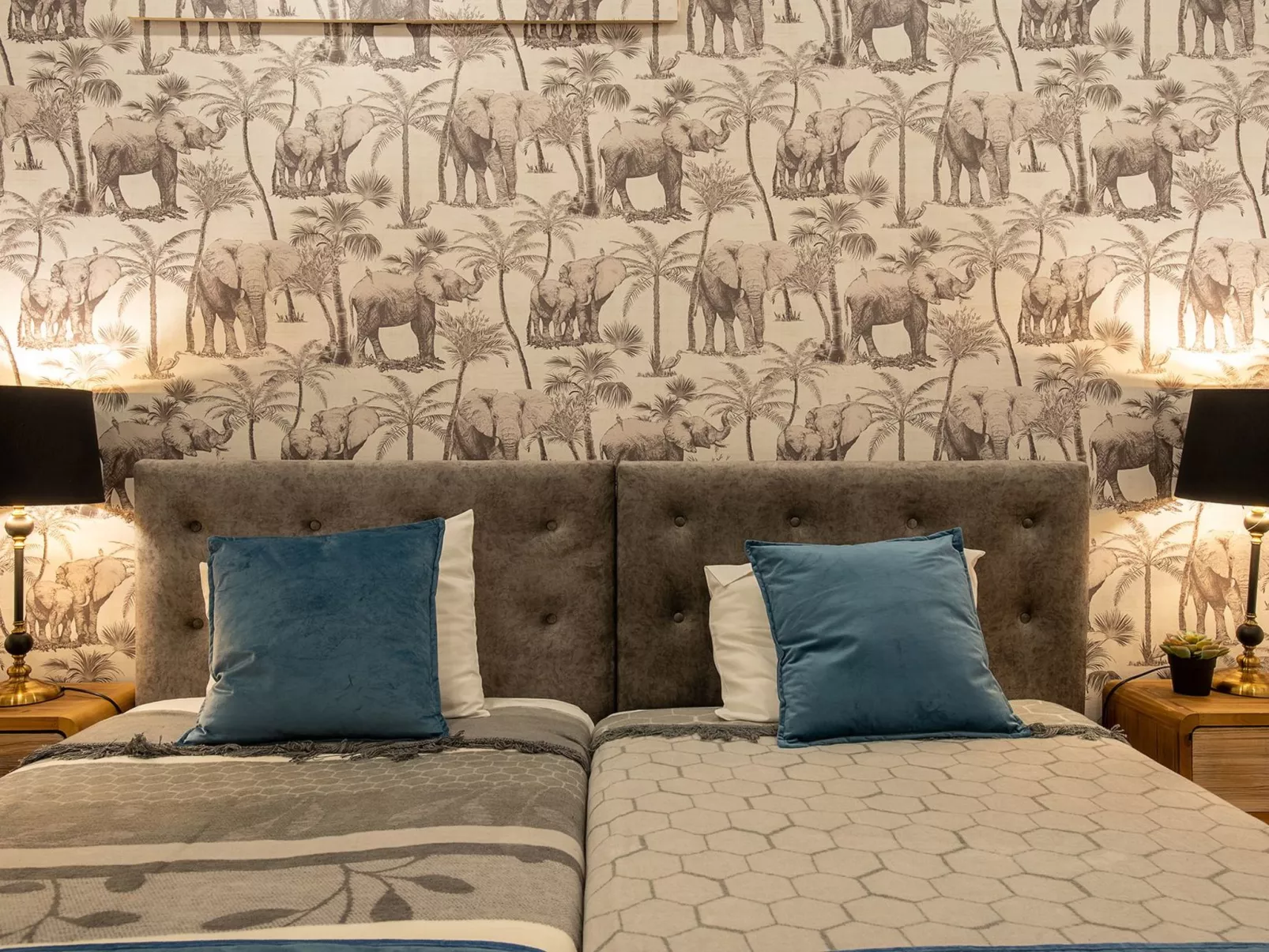 Baum Liverpooler Terrasse-Image-tags.info