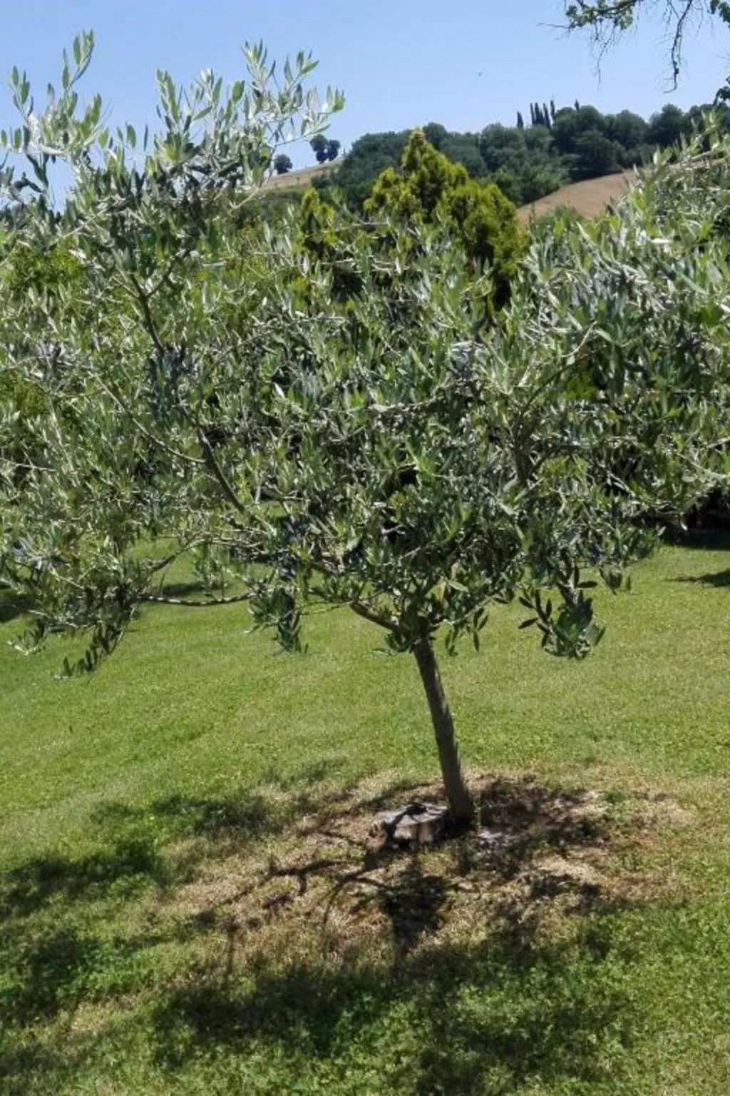 Rustikale Eleganz mit Blick auf die umbrische Landschaft-Image-tags.info