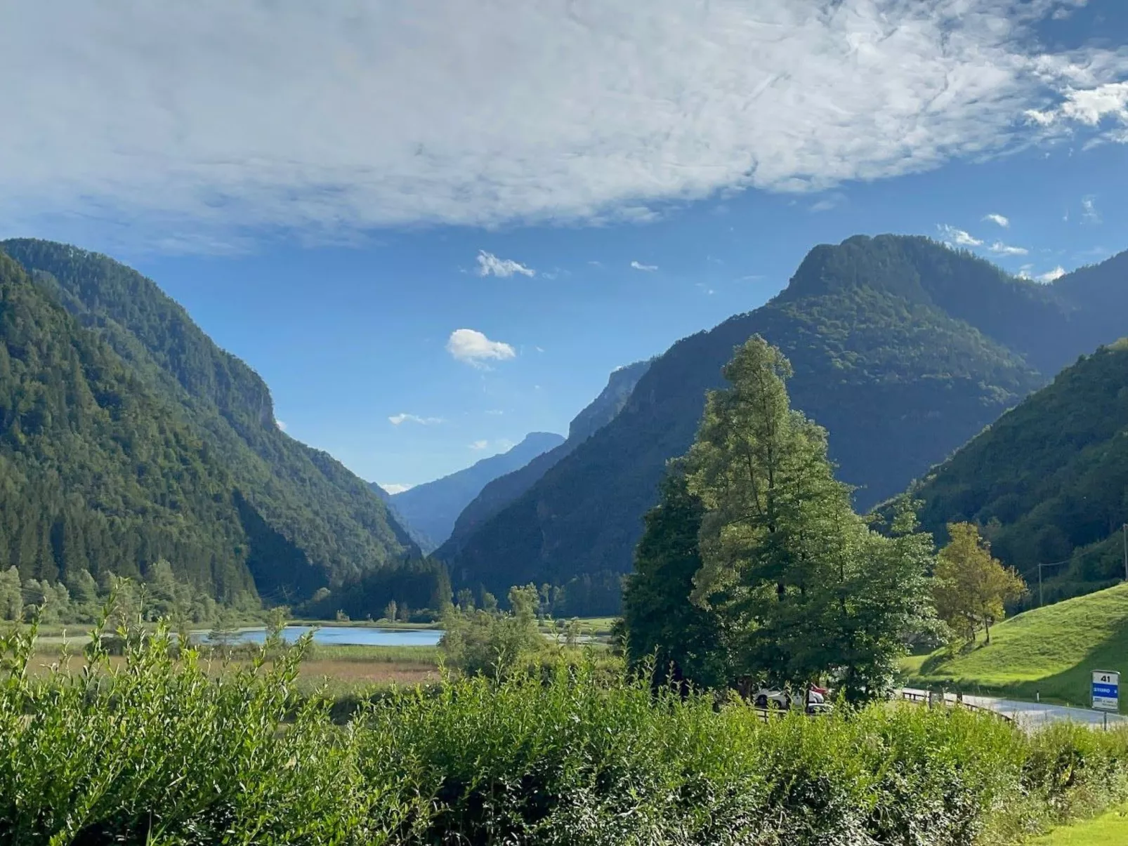 Gesegnet wie Frösche auf einem Seerosenblatt-Buiten