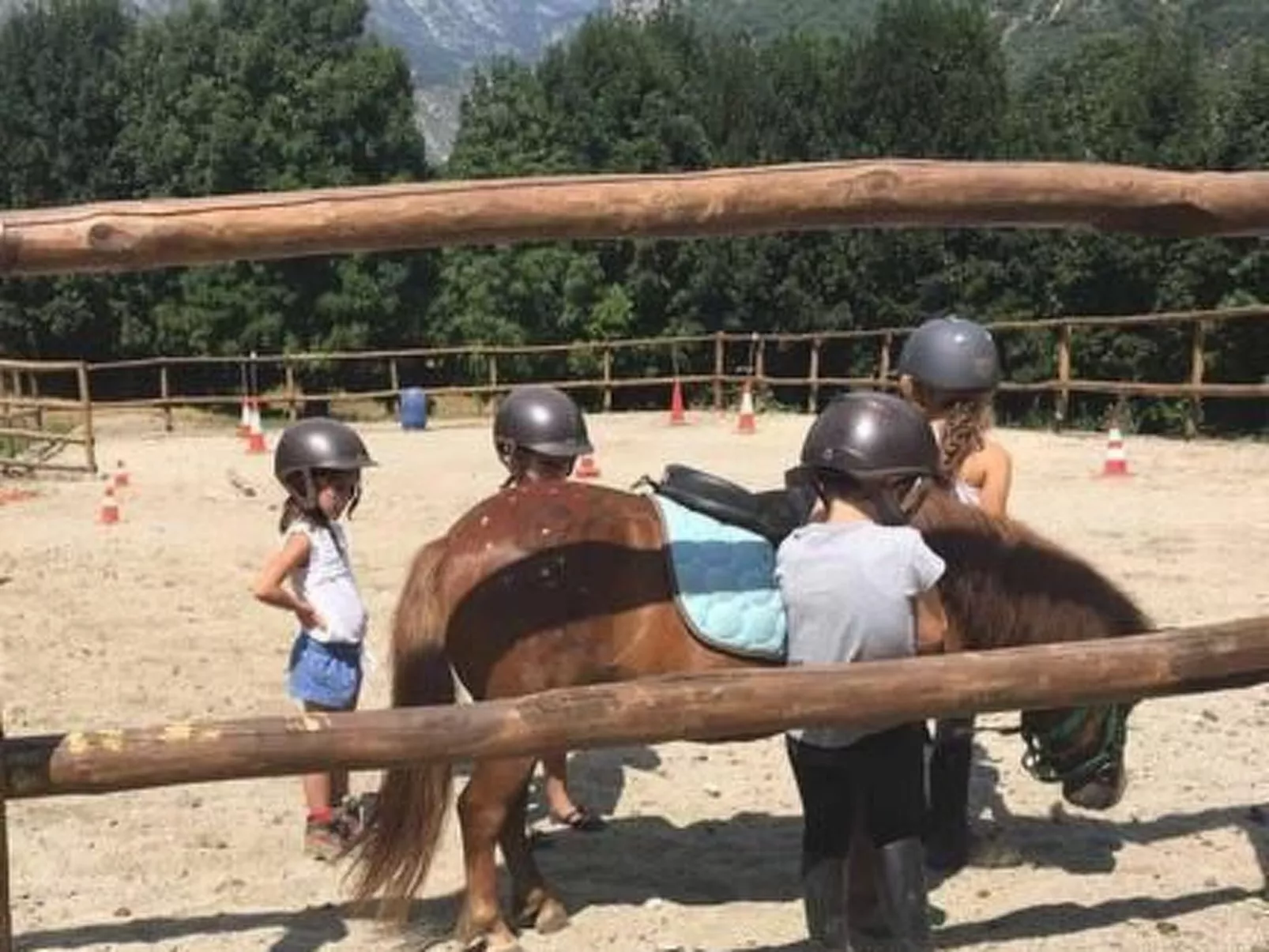 Appartement mit Terrasse-Image-tags.info