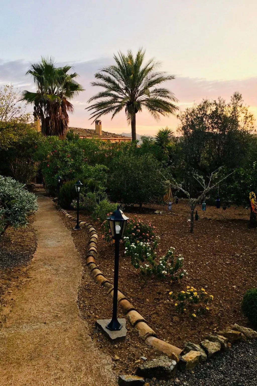 Juniorsuite-Image-tags.info