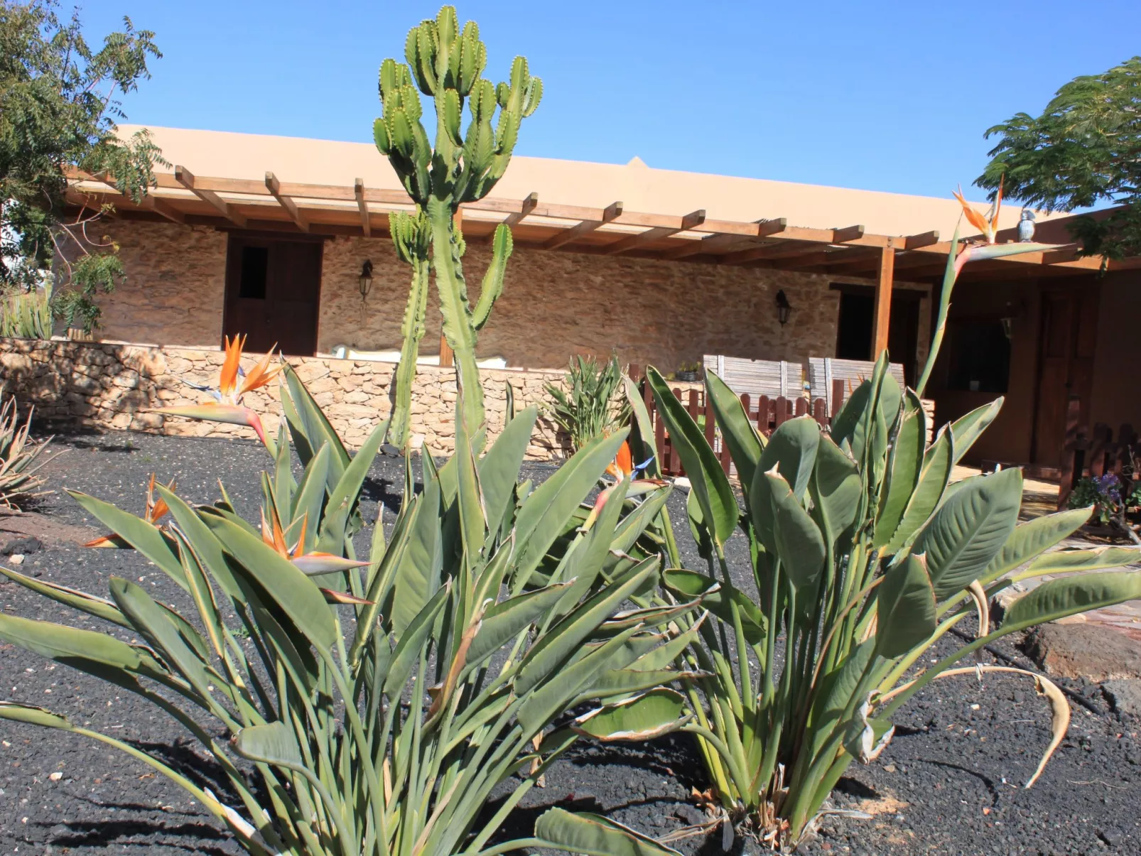 Kanarisches Haus mit privatem Pool und Garten