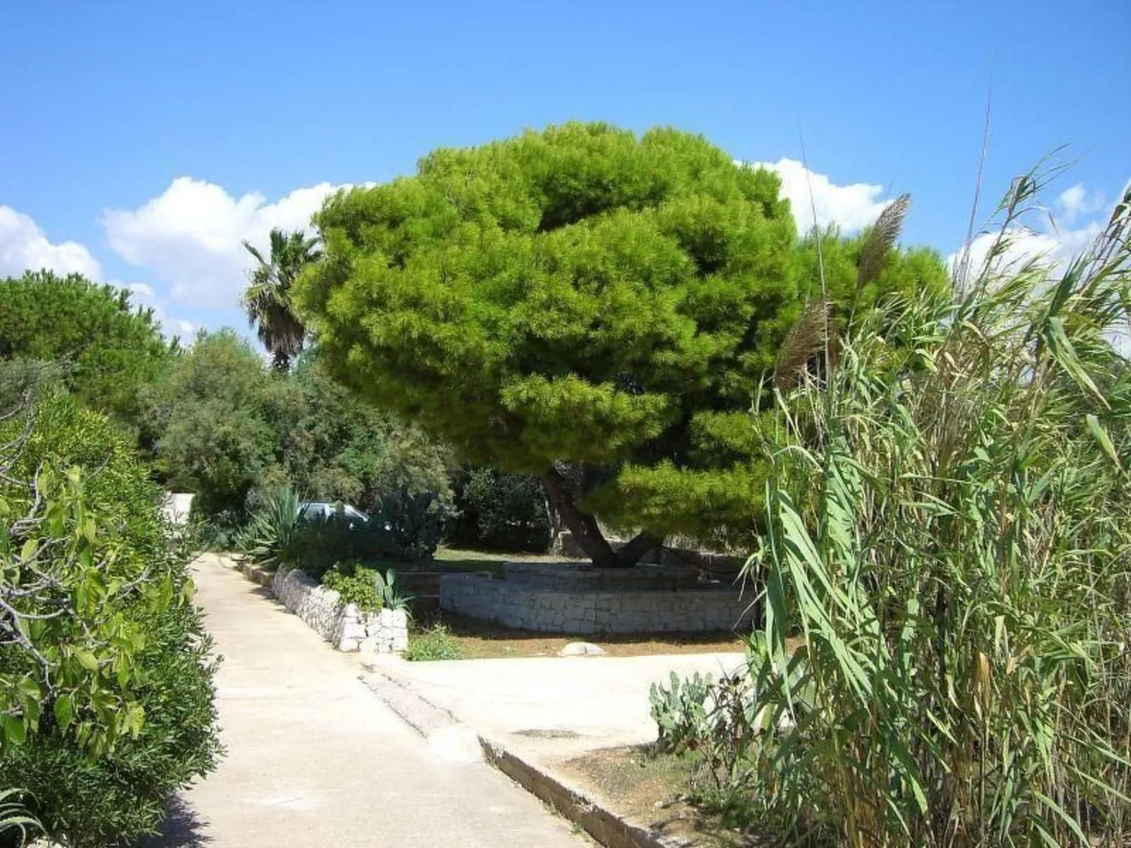 Villa Matilde: Kleine Ferienwohnung mit Meerblick-Image-tags.info