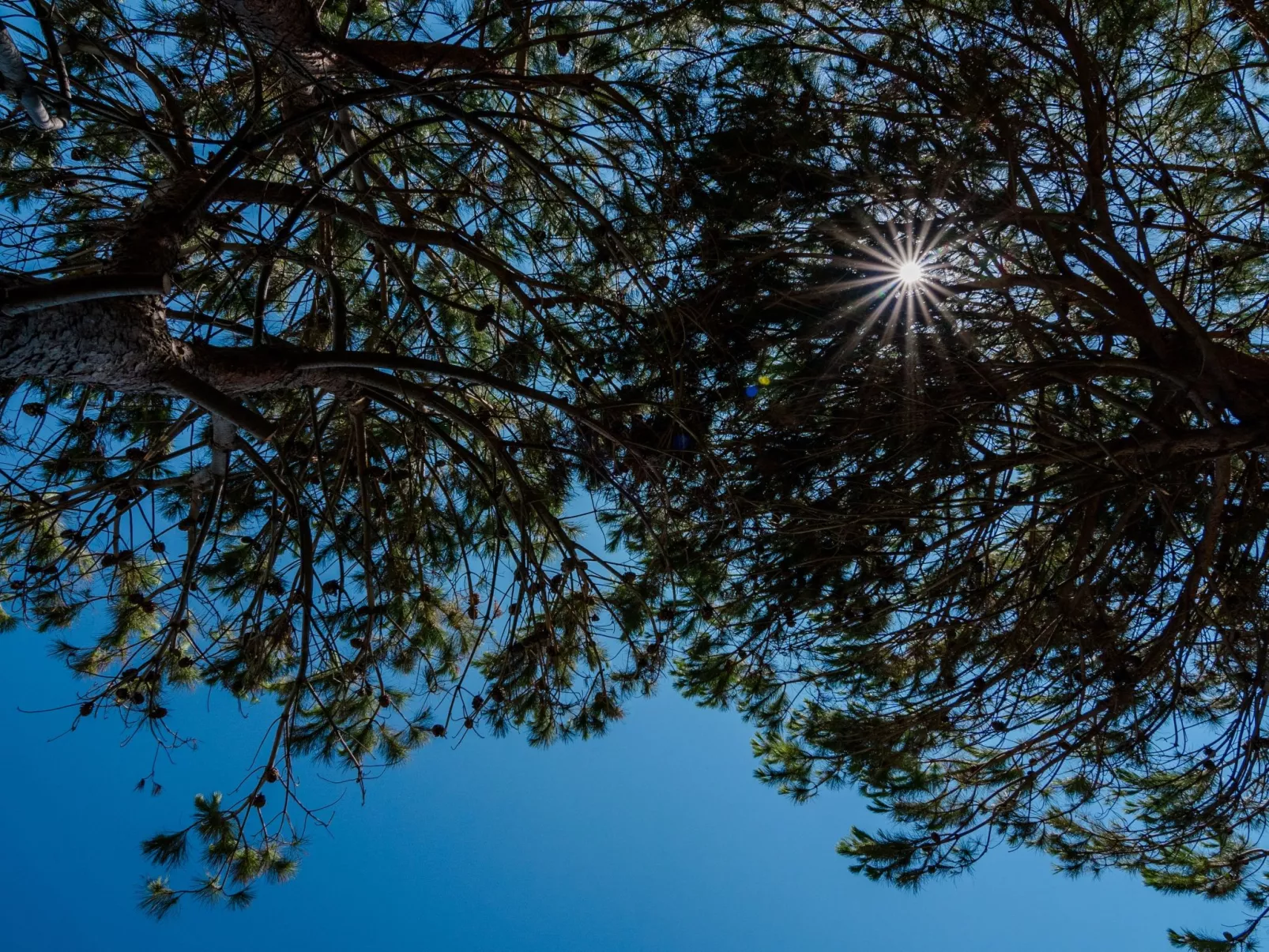 Villa a 150m dal mare, wifi e Kochkurs kostenlos - Buiten