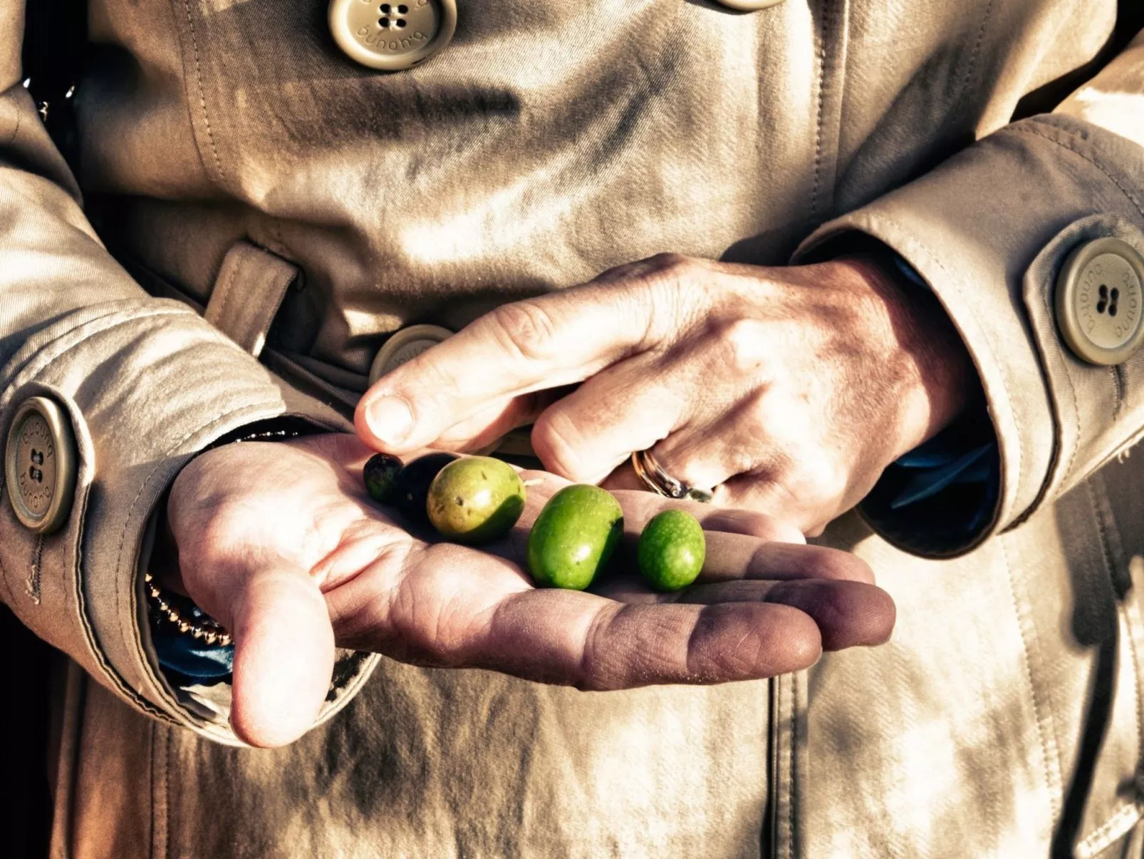Il Melograno Panoramahaus-Binnen