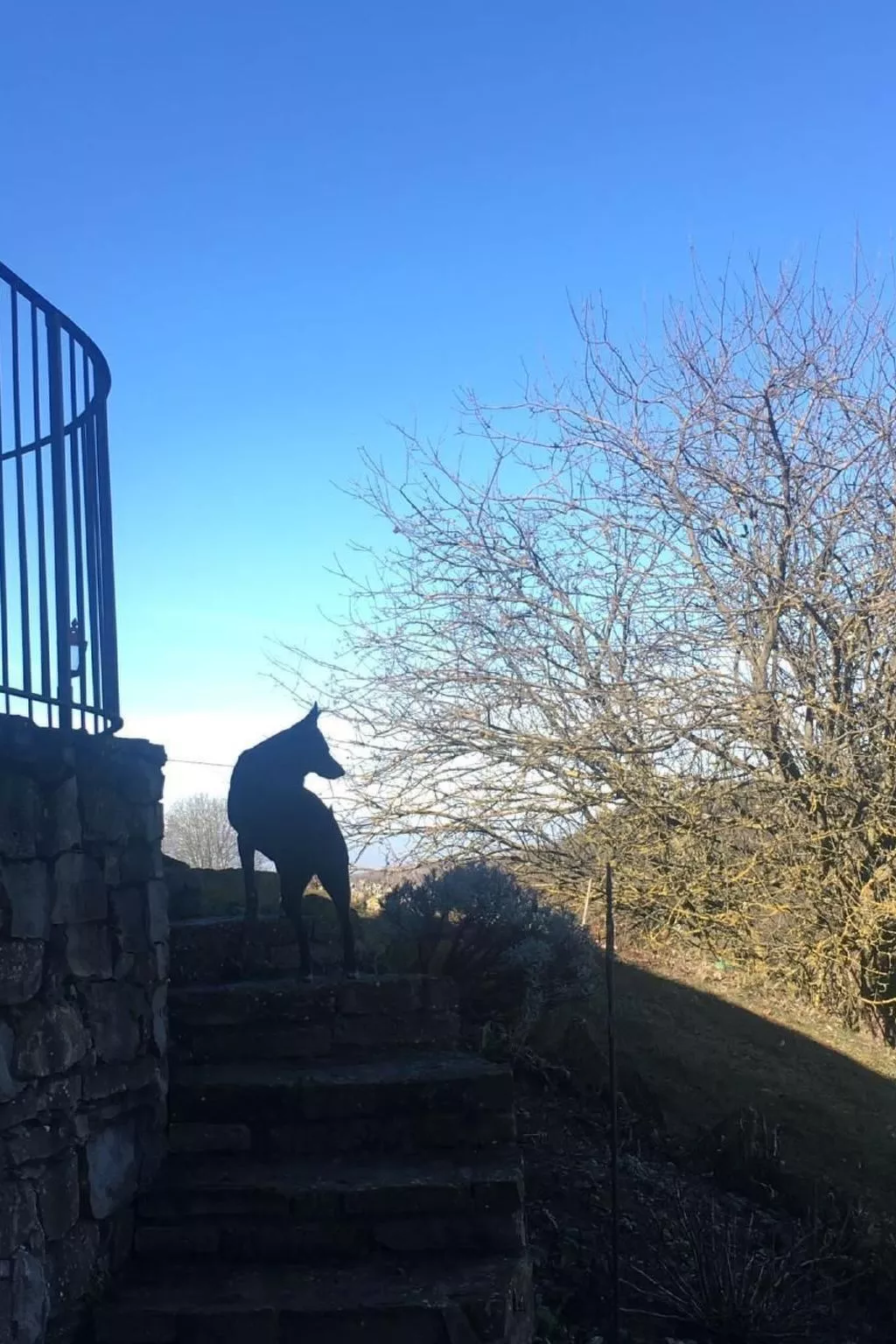 Piccola casa romantica-Buiten