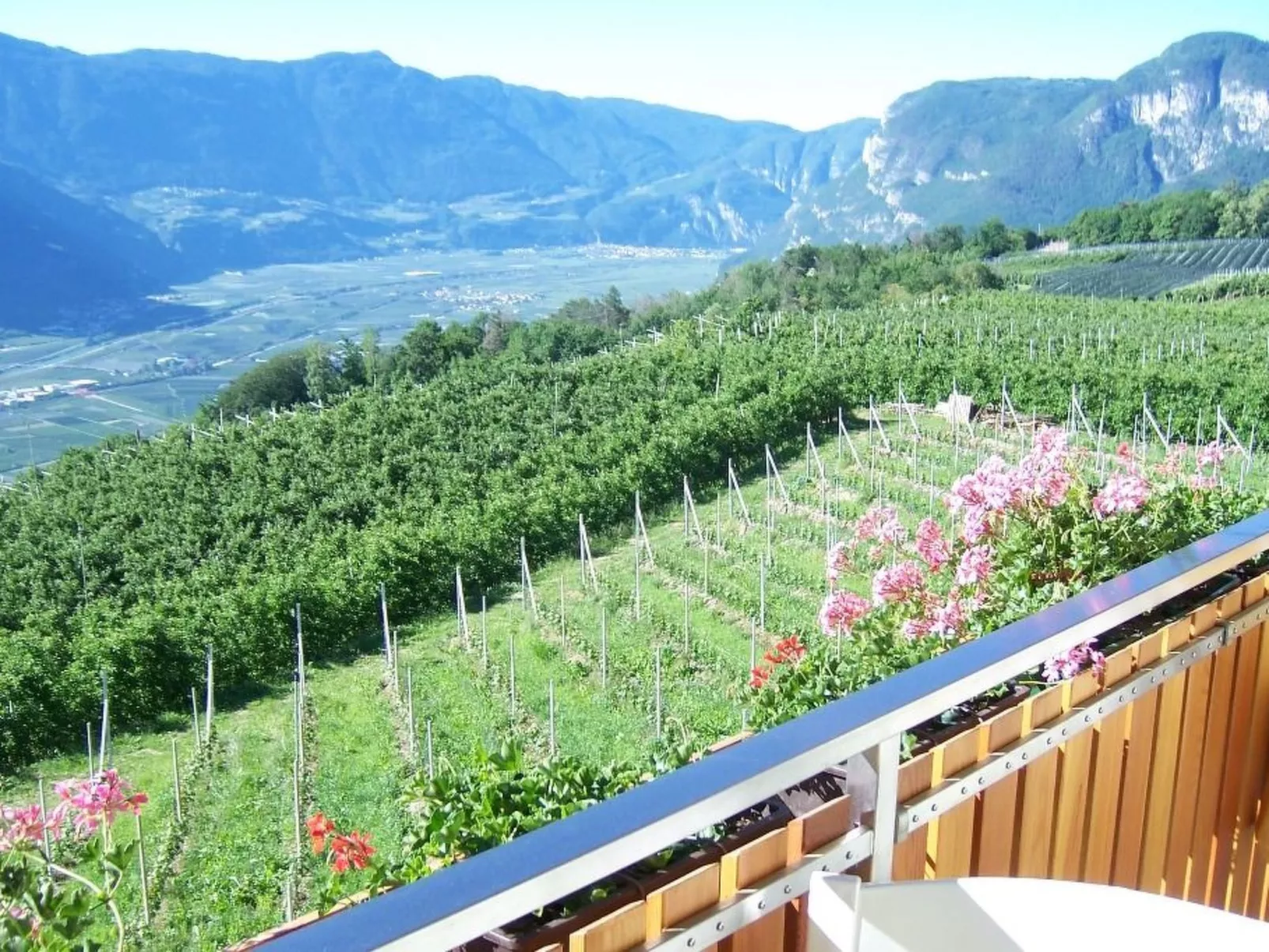 Kerschbamerhof Fewo Pink Lady mit Panoramablick-Buiten
