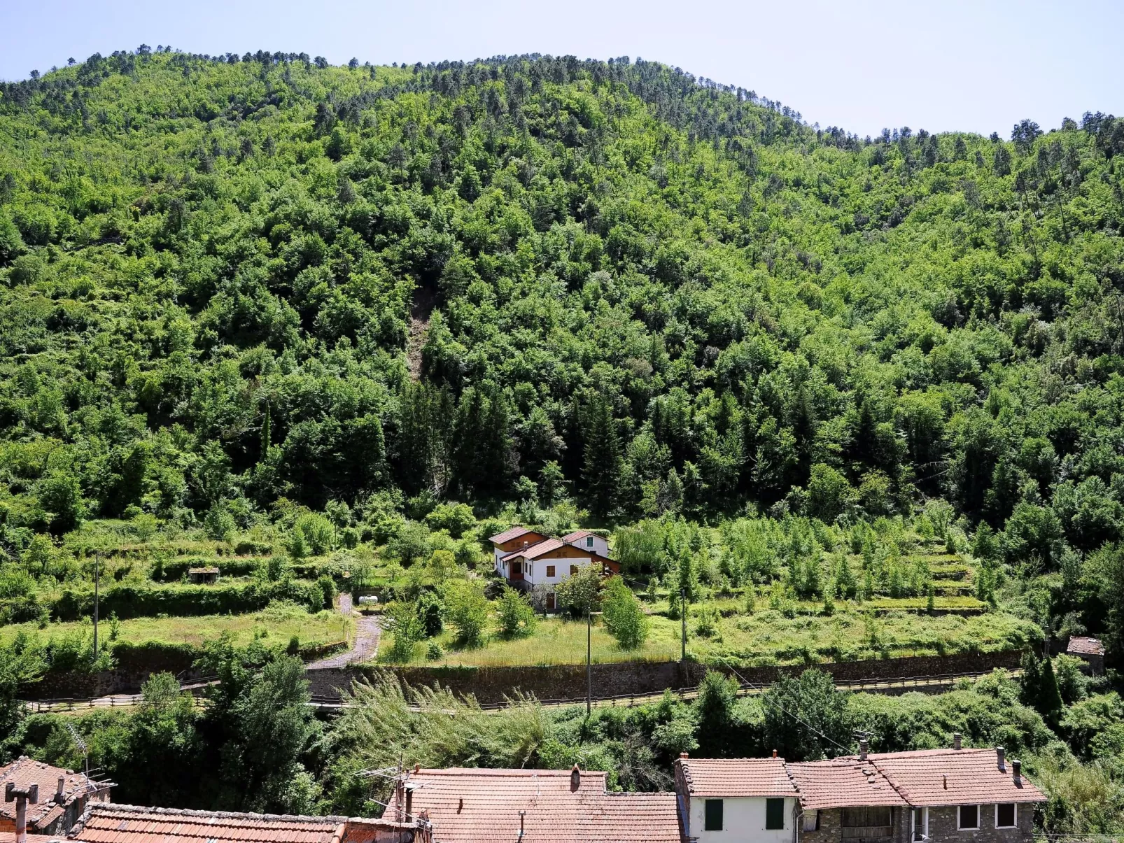 Panoramawohnung mit Balkon und Terrasse