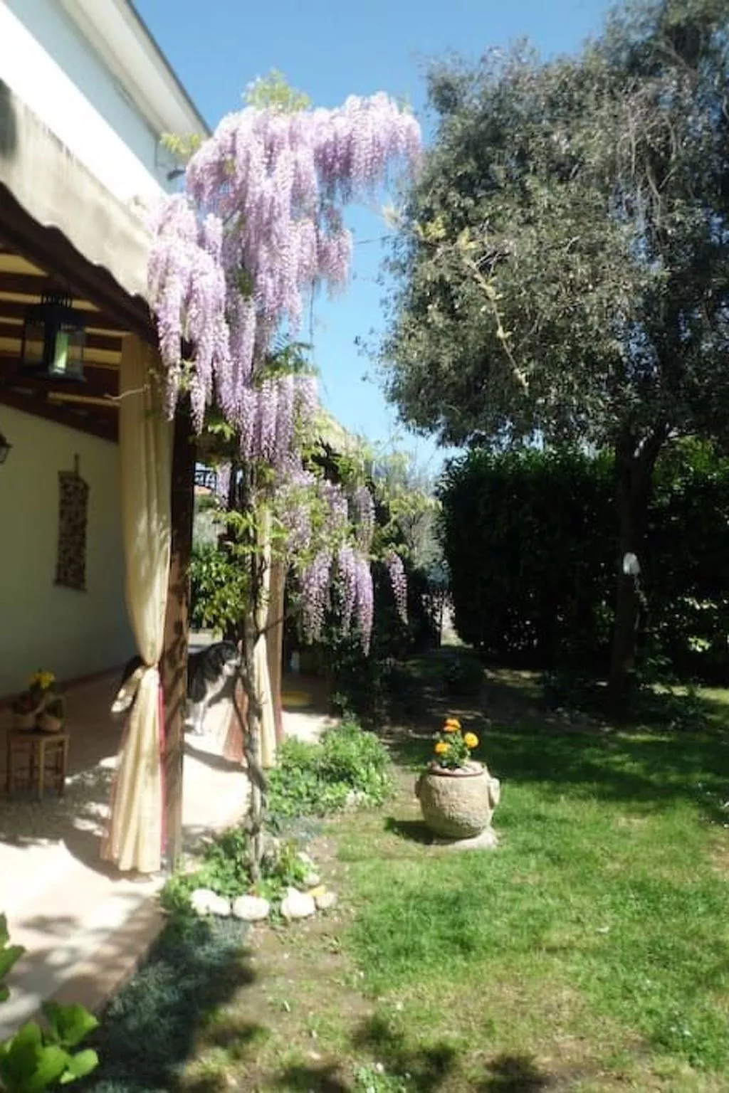 Wohnung mit Privatparkplatz-Buiten