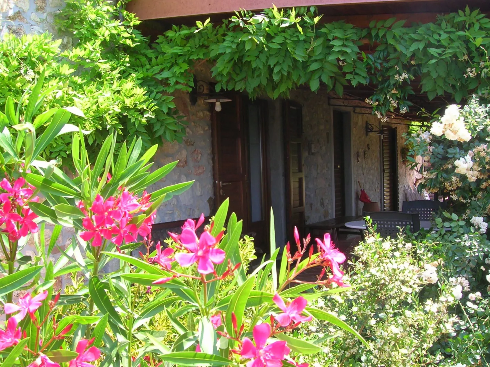 Ein-Zimmer-Wohnung 'Ligoracce-Buiten