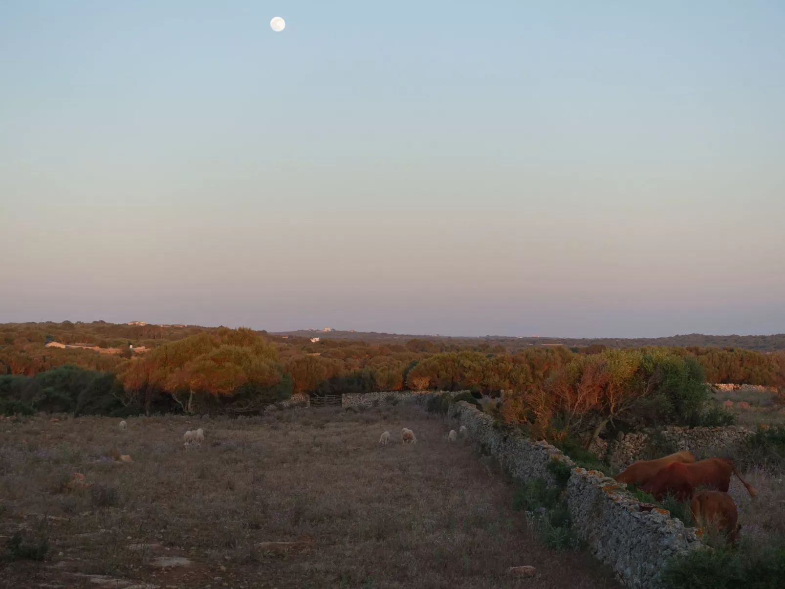Casita Menorca Privé-Buiten