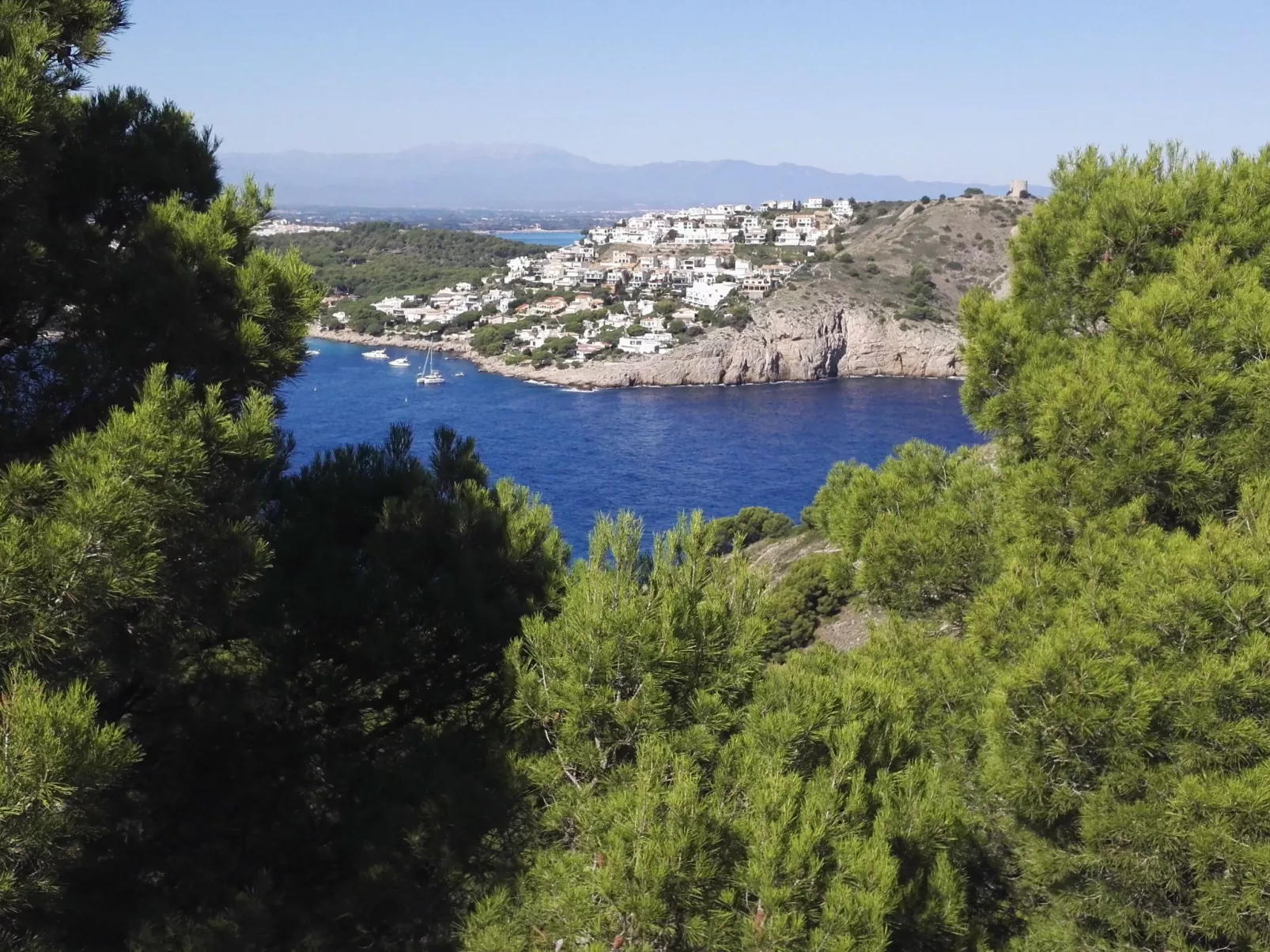 Sunnesching-Image-tags.info