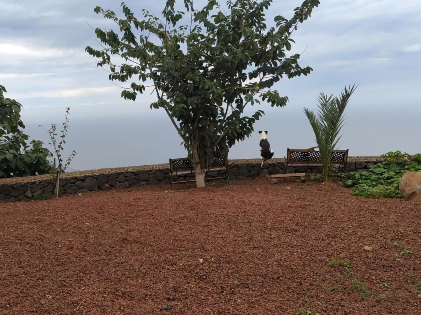 Finca "Sunny Scape Rural-Buiten