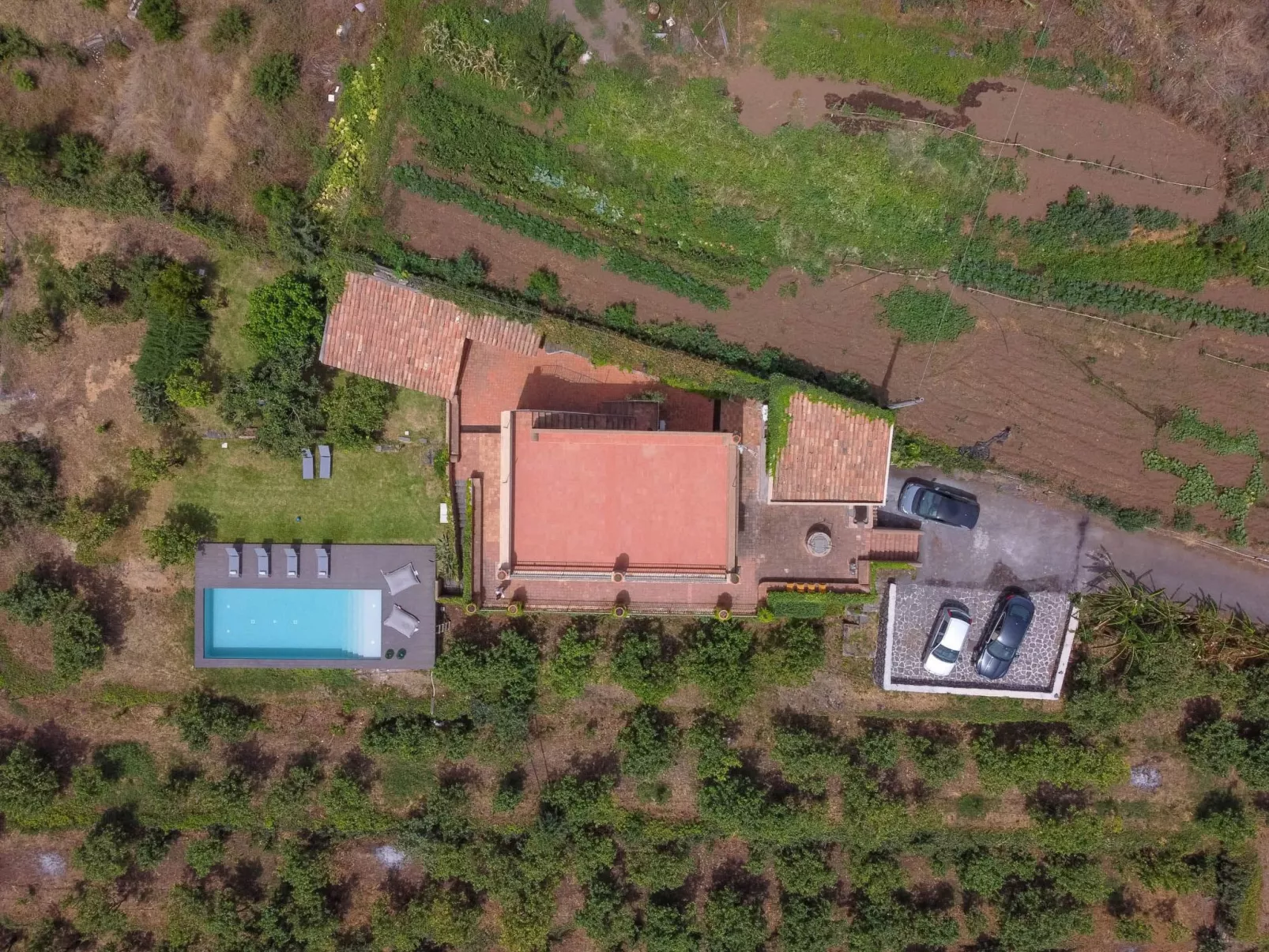 Avocado Garten-Image-tags.info