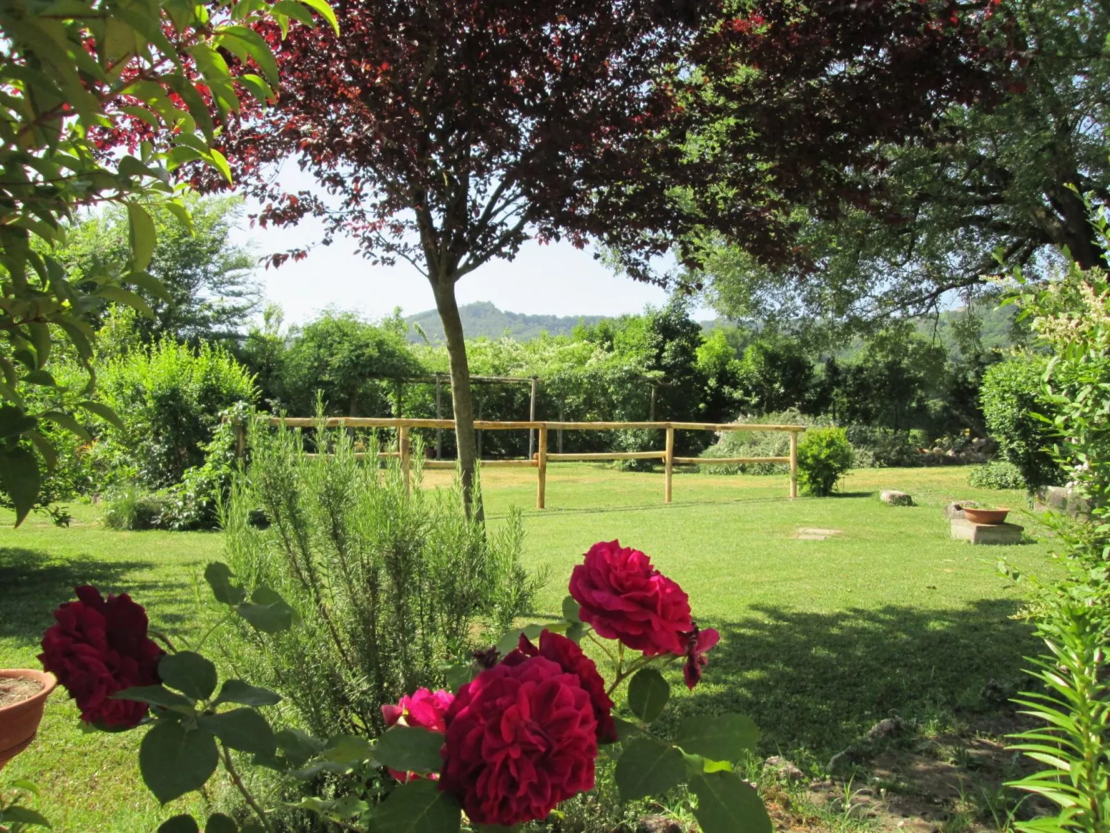 Villa mit privatem Pool 70 Kilometer von Rom entfernt-Image-tags.info