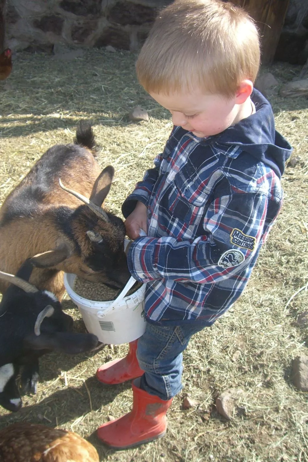 Kompatscherhof-Image-tags.info