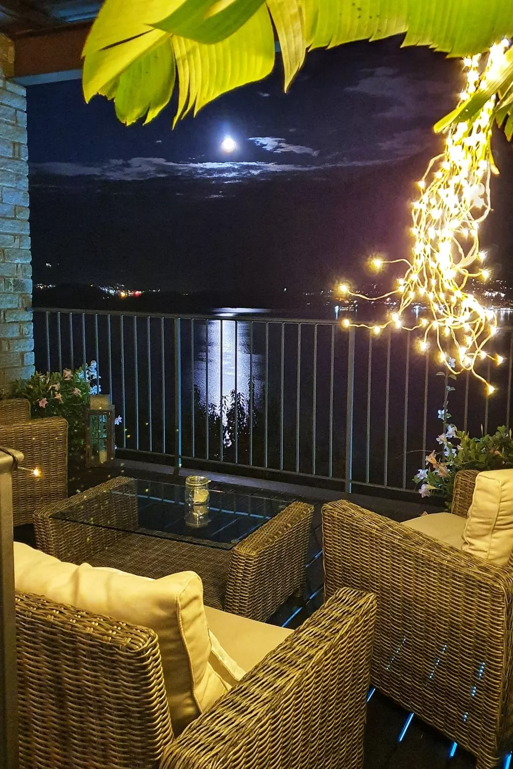 Orchidea-Image-tags.info