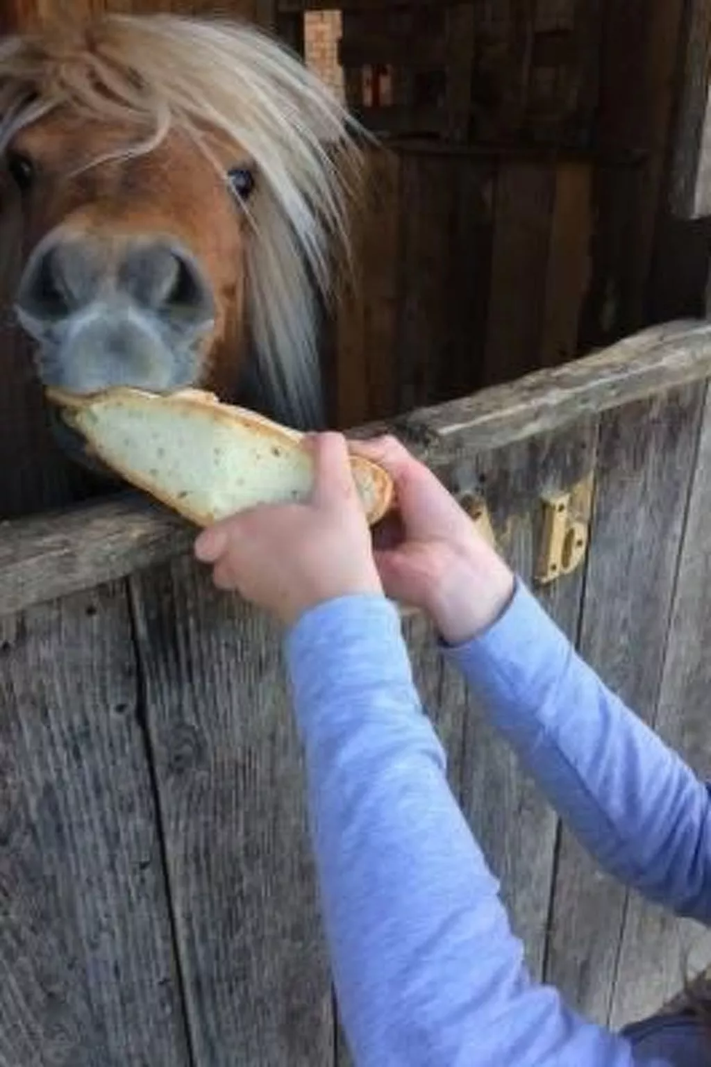 Landgut "Il Molino" mit Terrasse und Garten-Image-tags.info