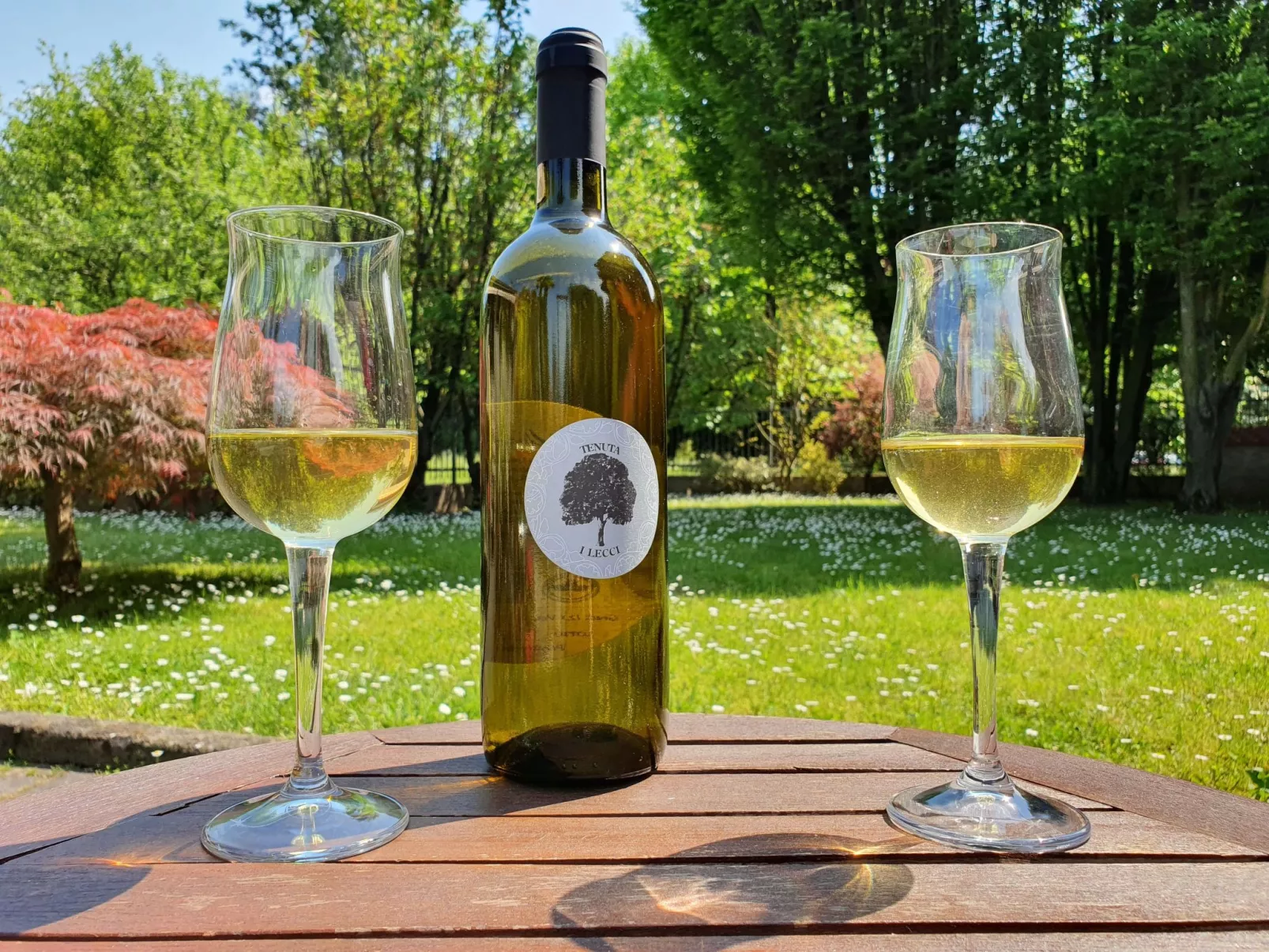 Wohnung in gemütlichem kleinen Bauernhaus-Buiten