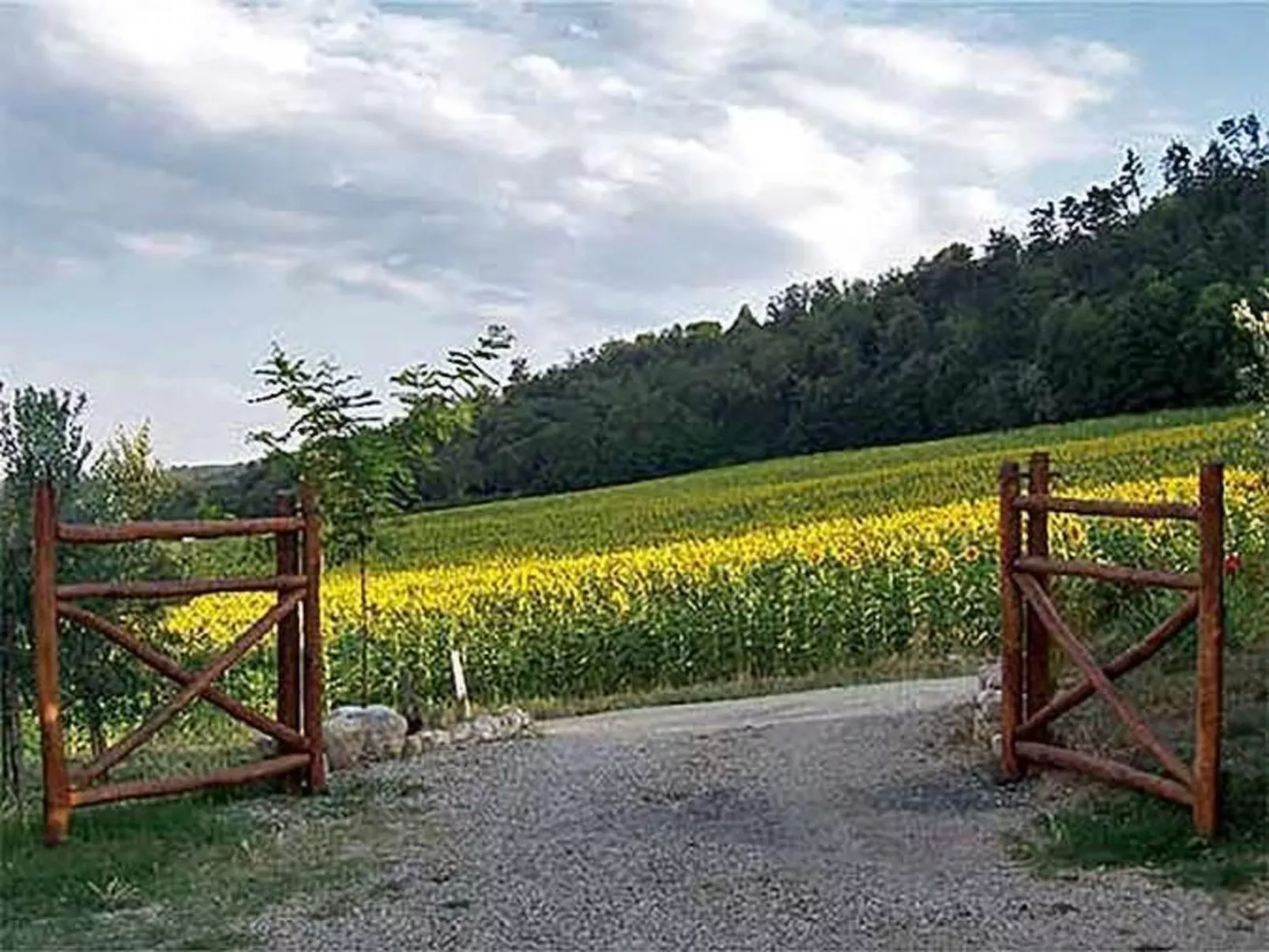 Großes Appartement-Buiten