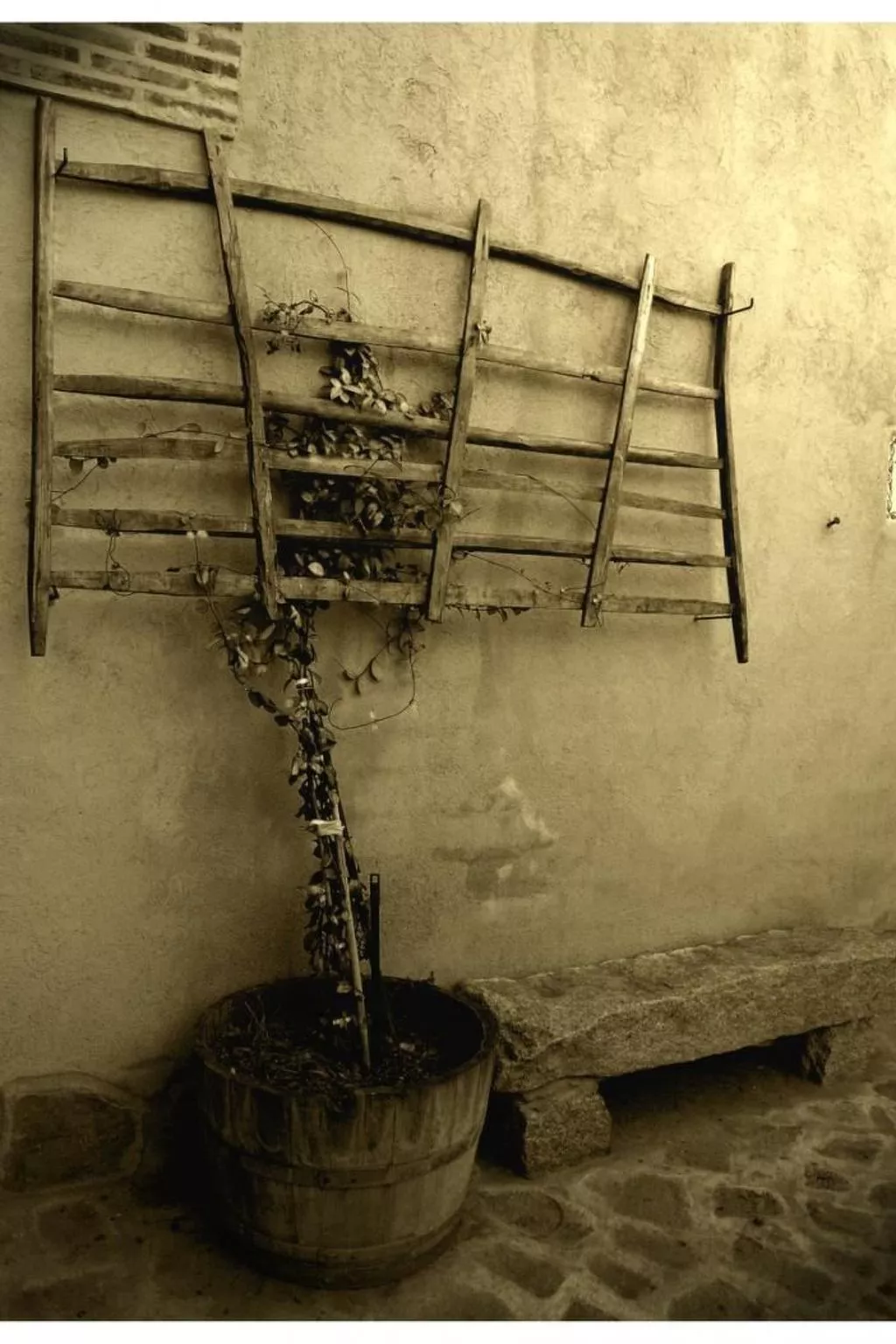 Gasthaus Callejón del Pozo I-Buiten