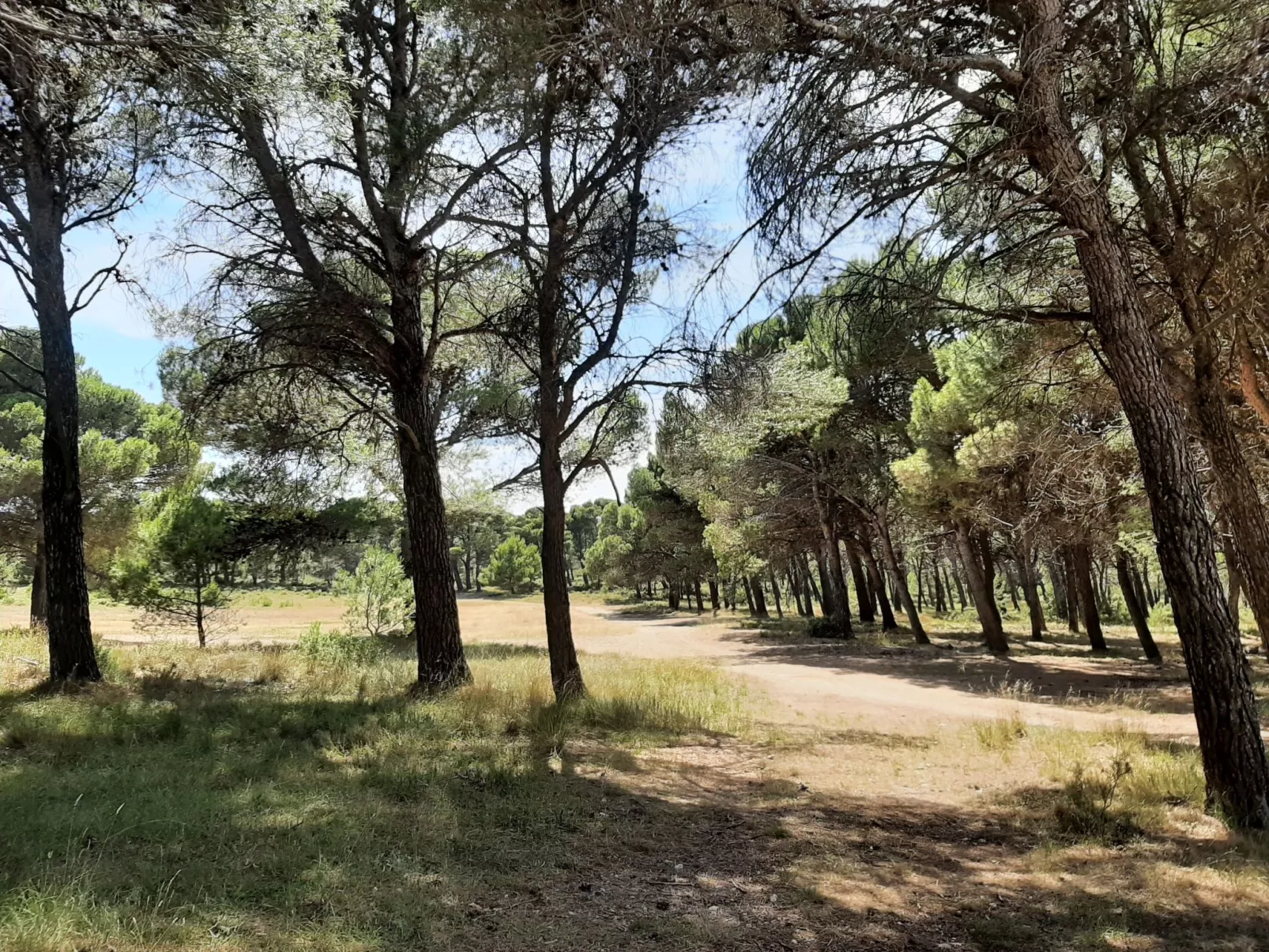 Weingut "Garnacha de Borja".-Image-tags.info