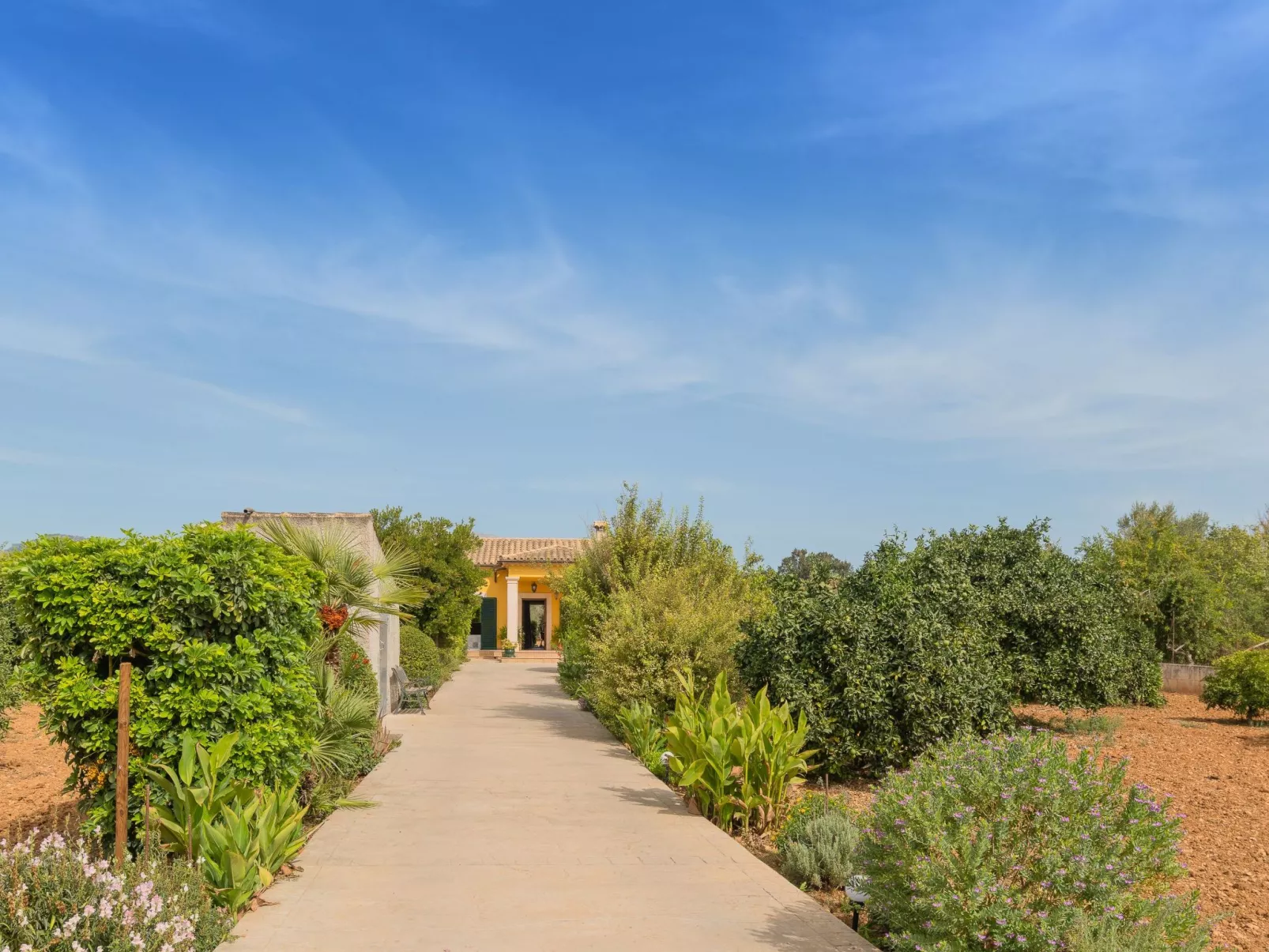 Son Serra-Image-tags.info