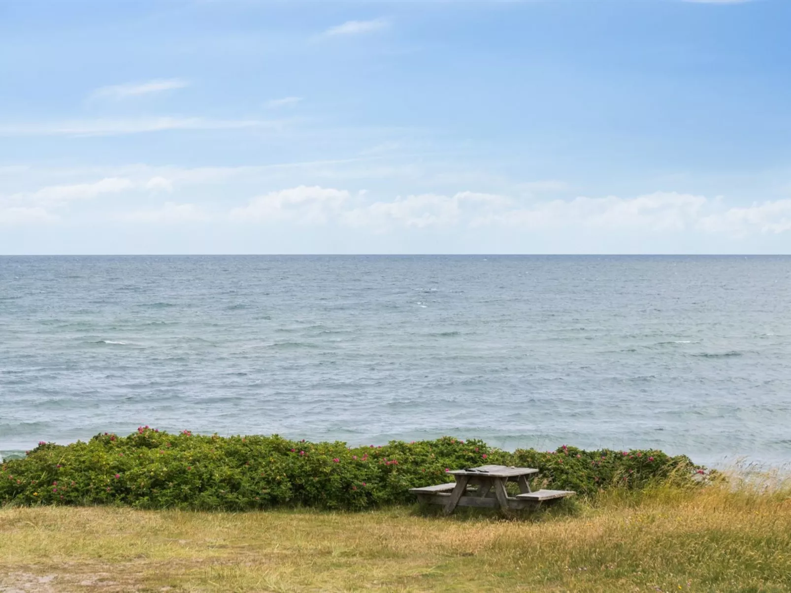 "Torbjörn" - 100m from the sea-Buiten