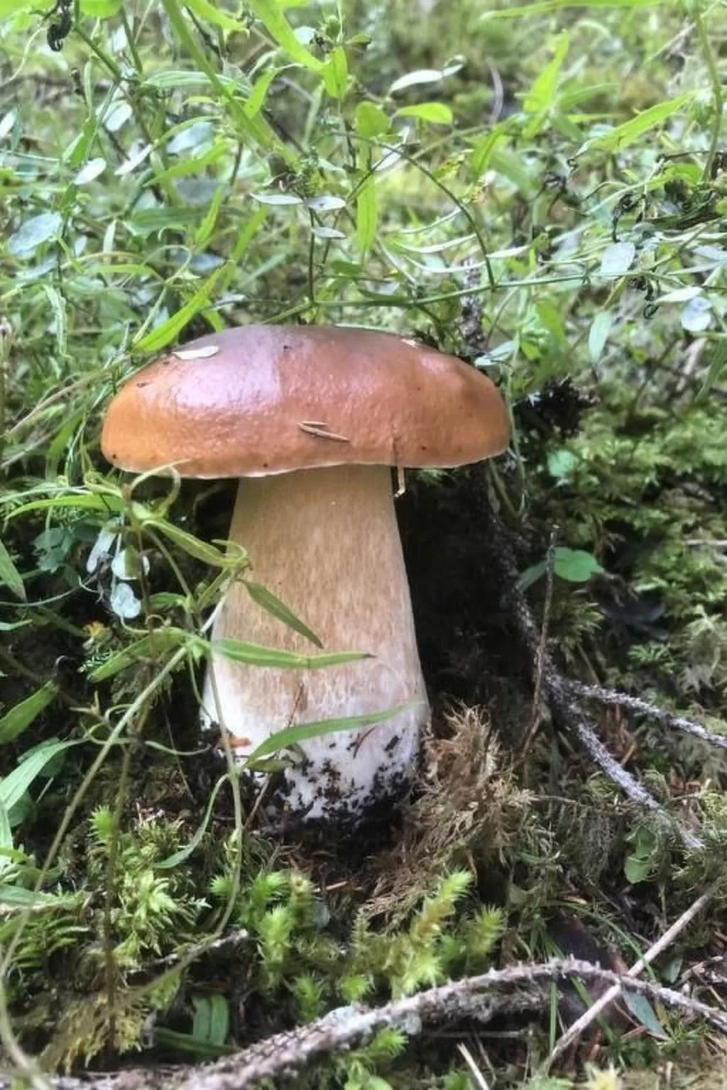 Chesa Andrea, EG-Buiten