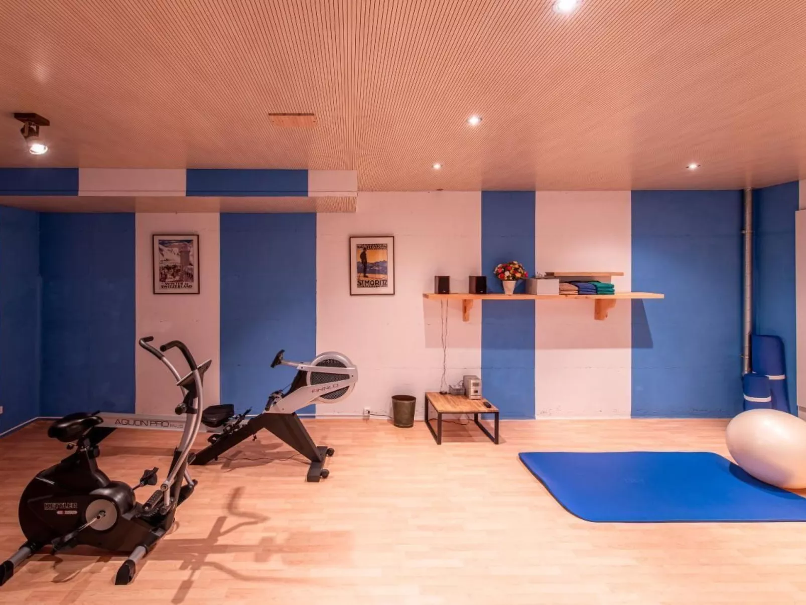 Chesa La Furia Dach Whg 45m2-Binnen