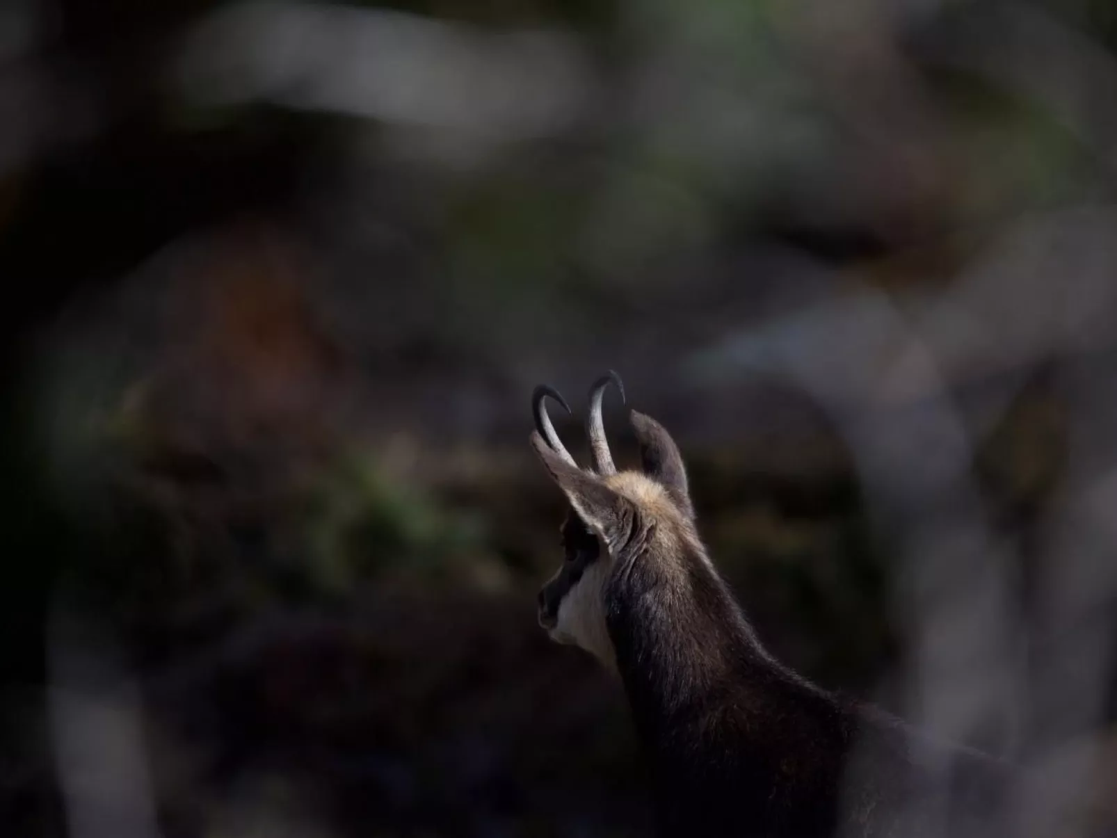 Chesa Thom / ÖV inklusive-Buiten