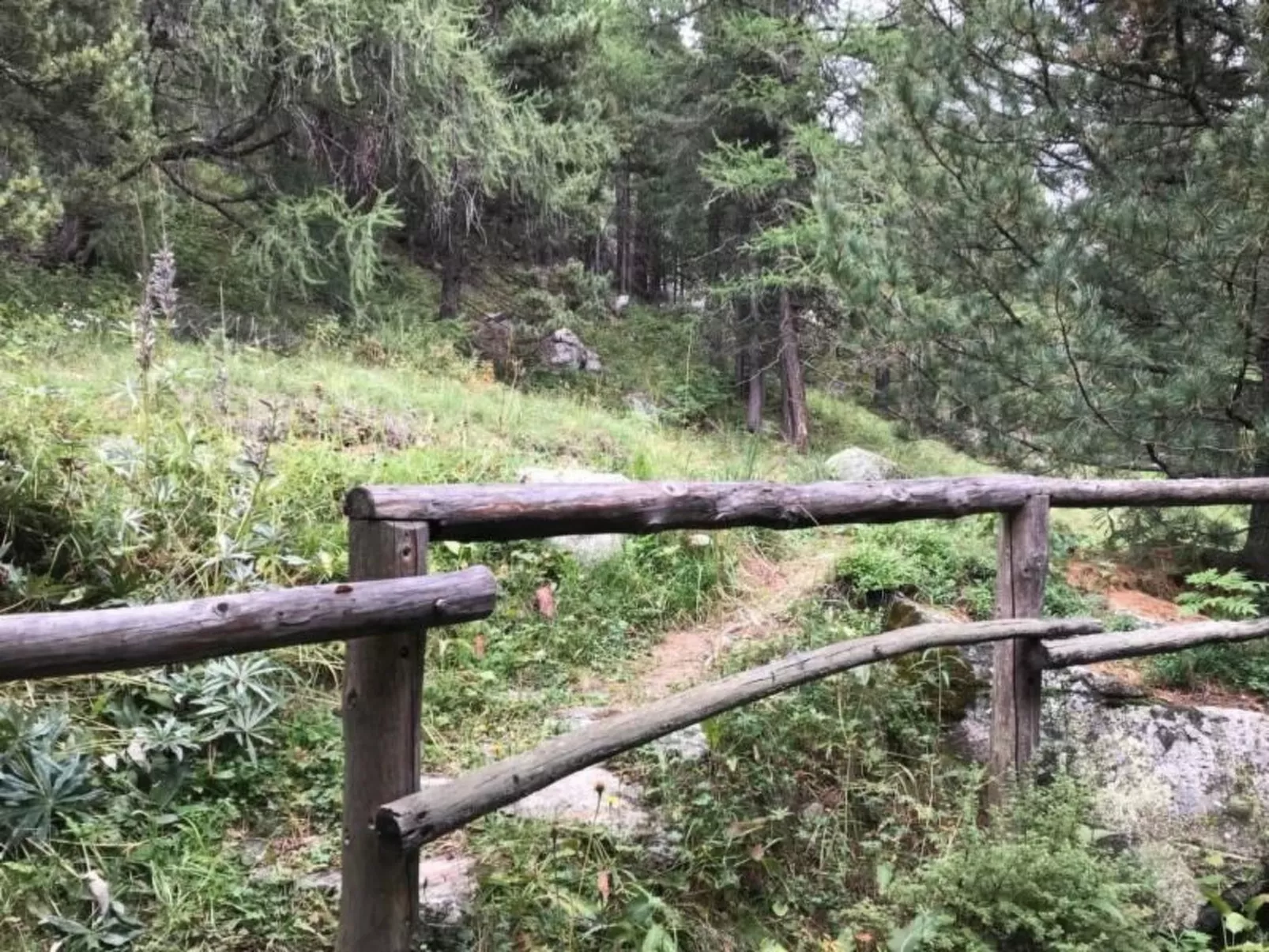 Chesa Trais Fluors-Image-tags.info