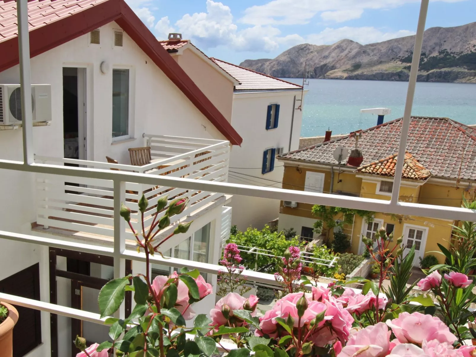 C. Silvija Bs-Buiten