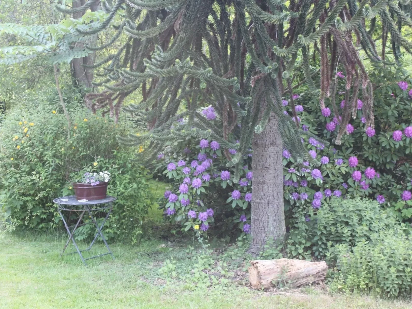 In Stollhamm mit Großem Garten