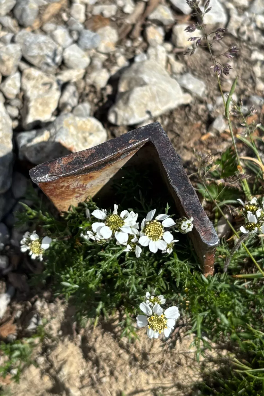 Haus Rosenwirth-Buiten