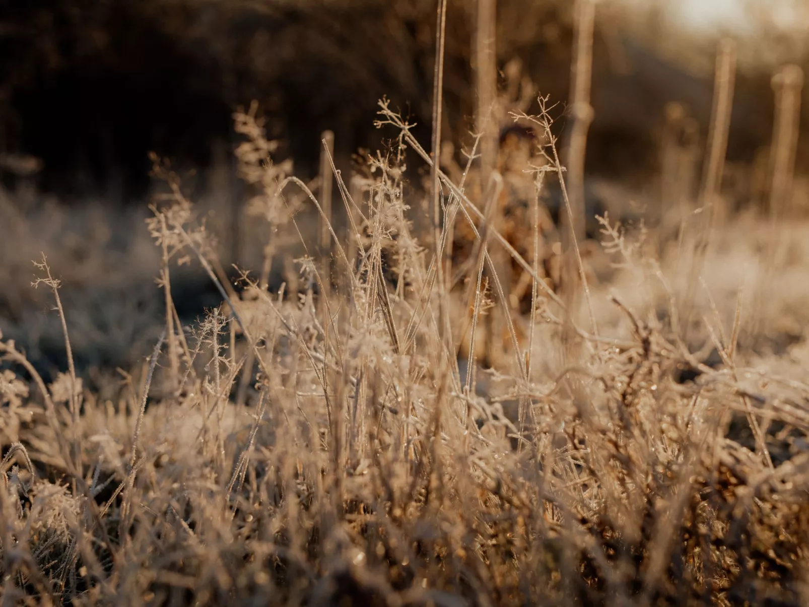 FlowFort - Riesengebirgsblick Spa Wellness-Image-tags.info