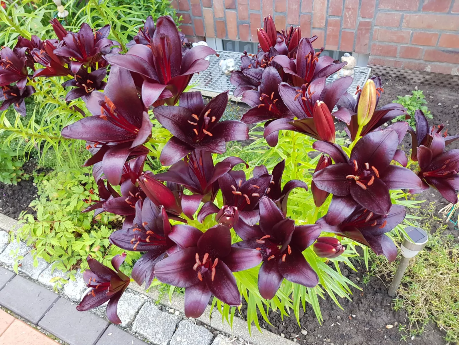 Beim Bracksee-Buiten