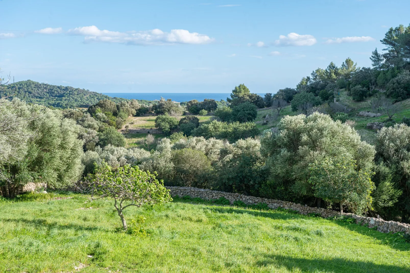 Son EsquerrÀ-Buitenkant zomer