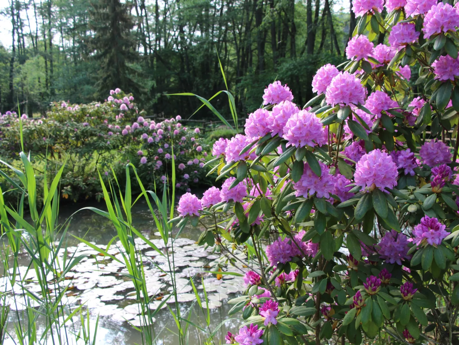 Ferienvilla mit eigener Sauna-Buiten