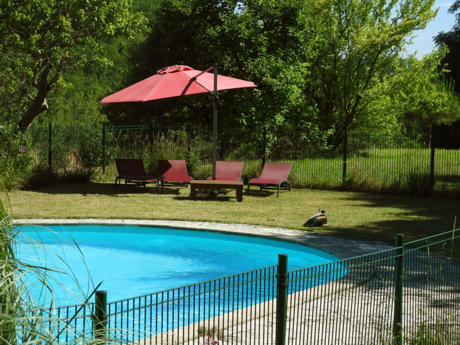 La Ferme des Paons-Buiten