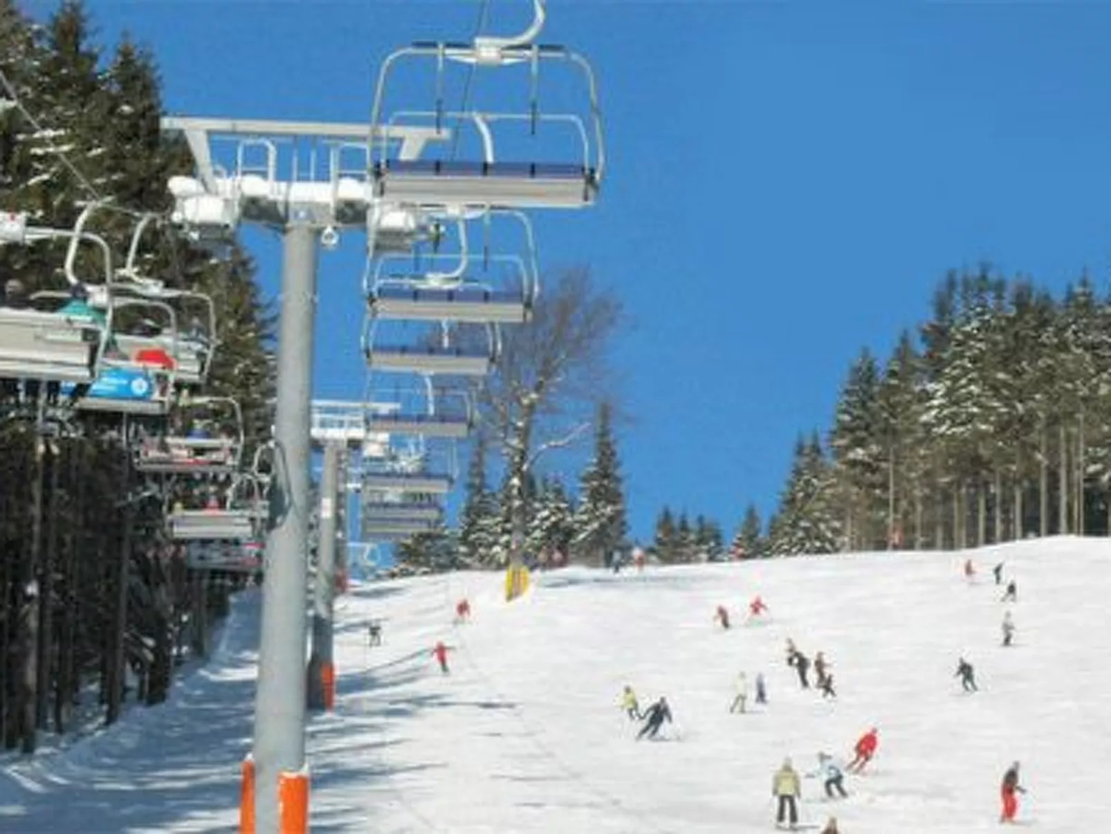 In natürlicher Umgebung-Buiten