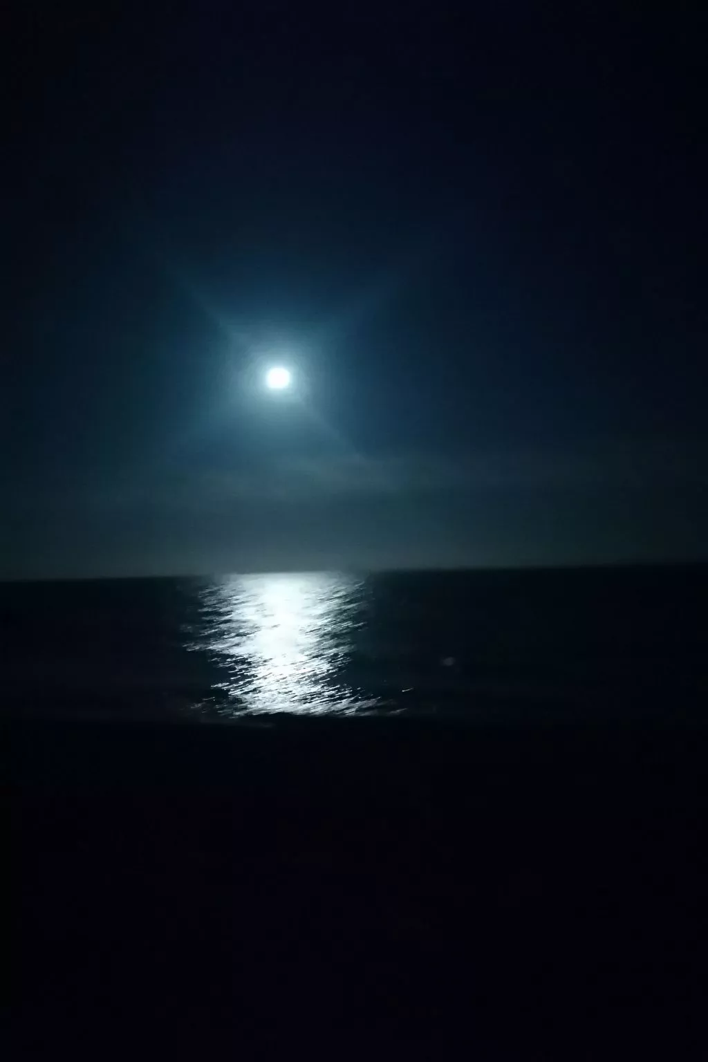 "Stewart" mit Blick auf das Wasser-Buiten