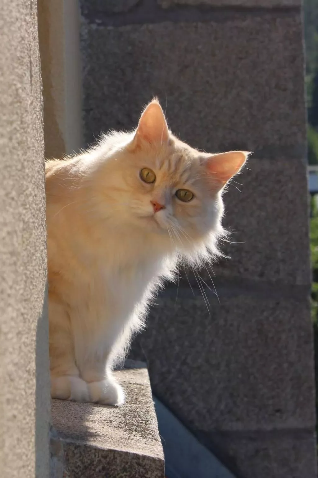 Fewo Altes Schulhaus-Buiten
