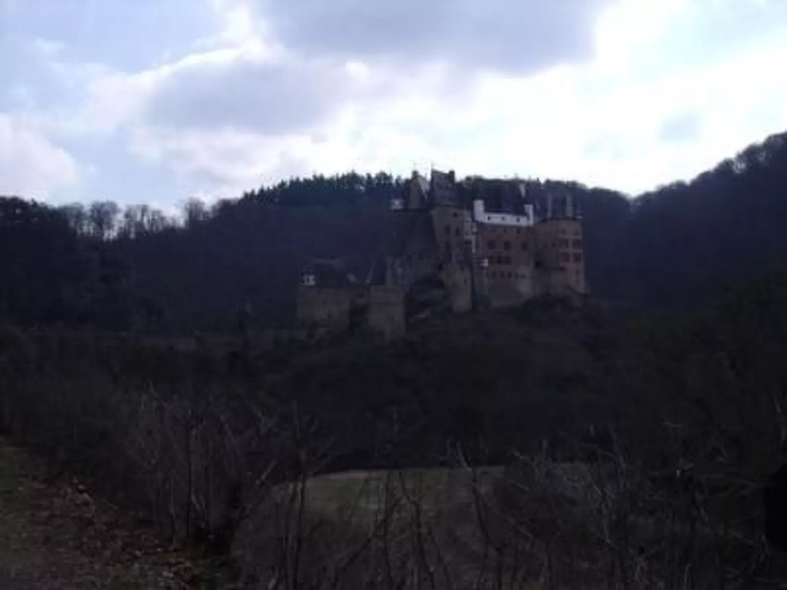 Am Waldrand-Image-tags.info