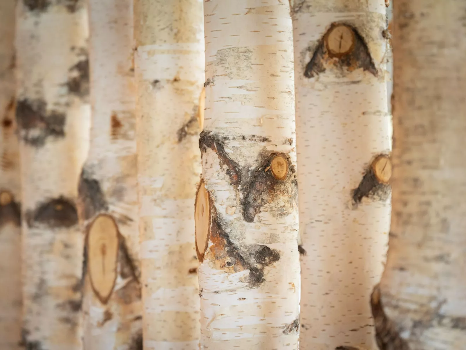 Landleben in Feistritz Ob Bleiburg-Buiten